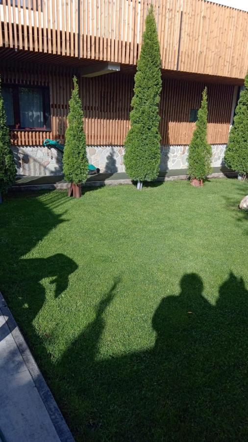 ホテル Casa Borgo ブラショフ エクステリア 写真